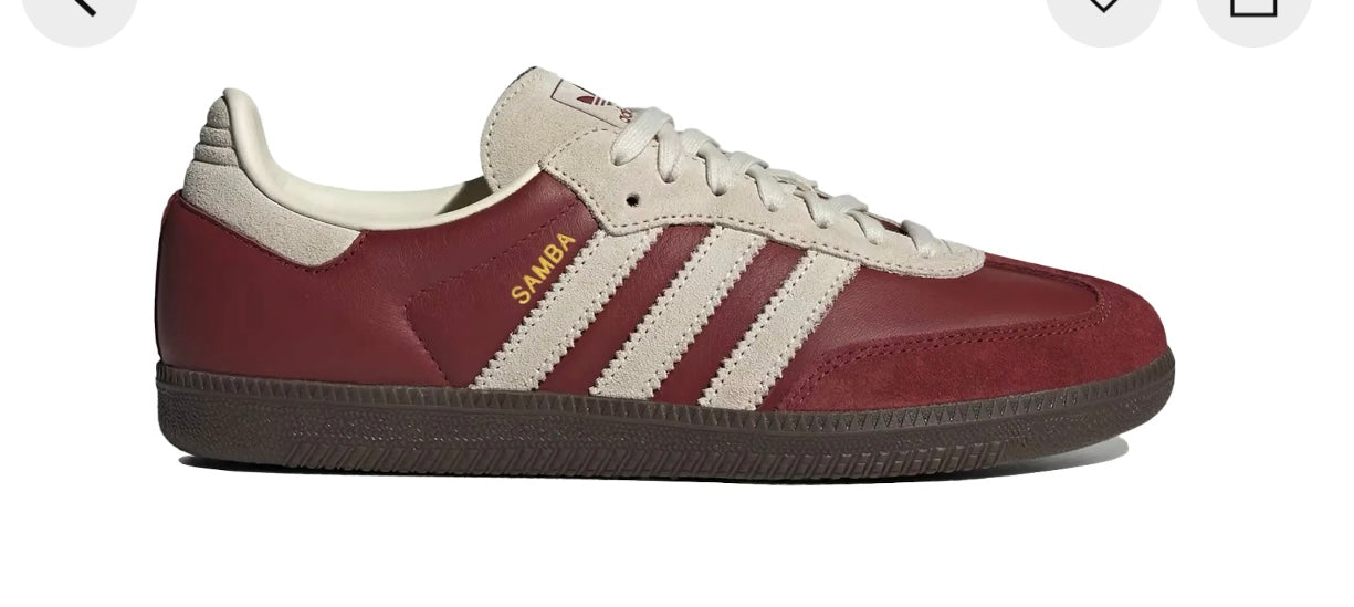 Wine & Cream sambas for men