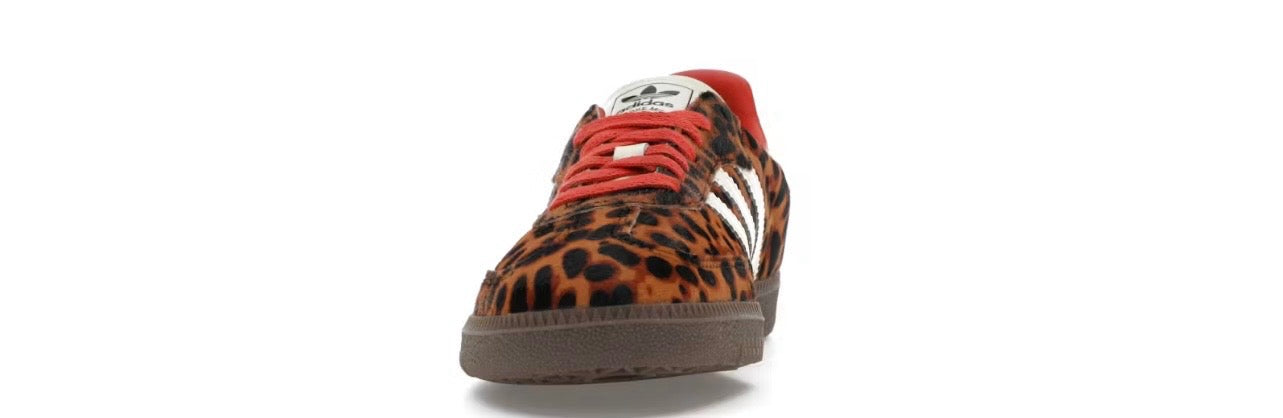 Leopard sambas for women