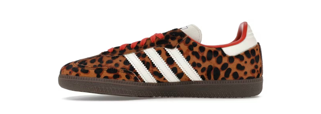 Leopard sambas for women