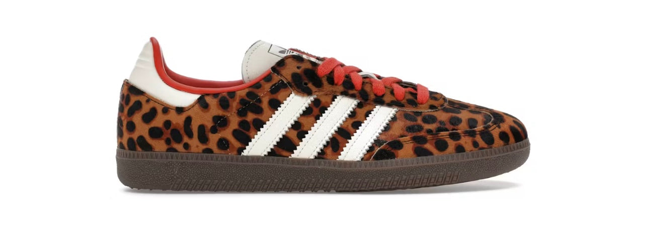 Leopard sambas for women