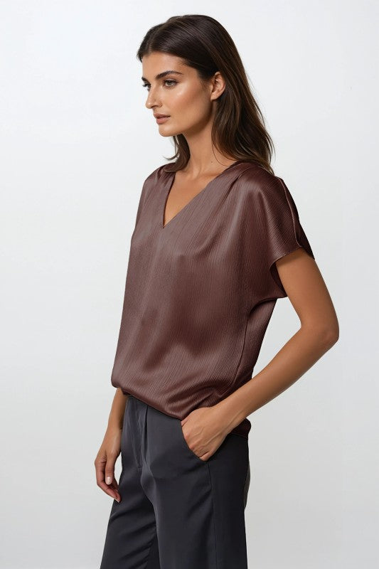 Brown Silky basic top