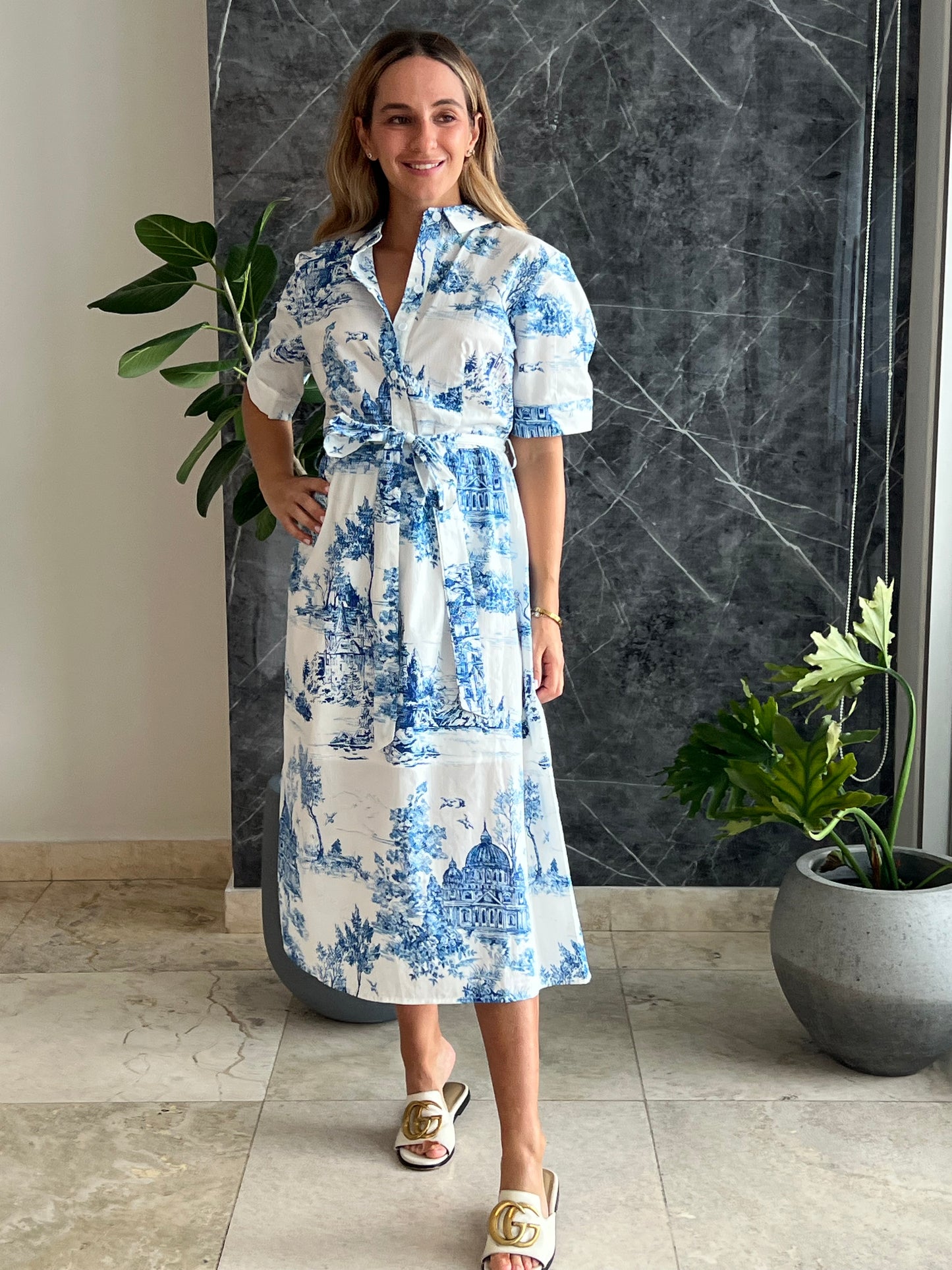 Blue toile print midi Dress