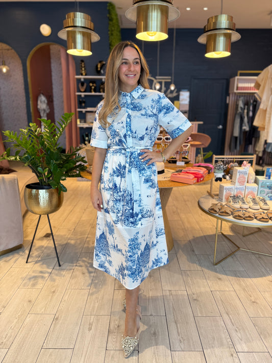 Blue toile print midi Dress