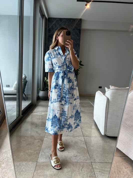 Blue toile print midi Dress