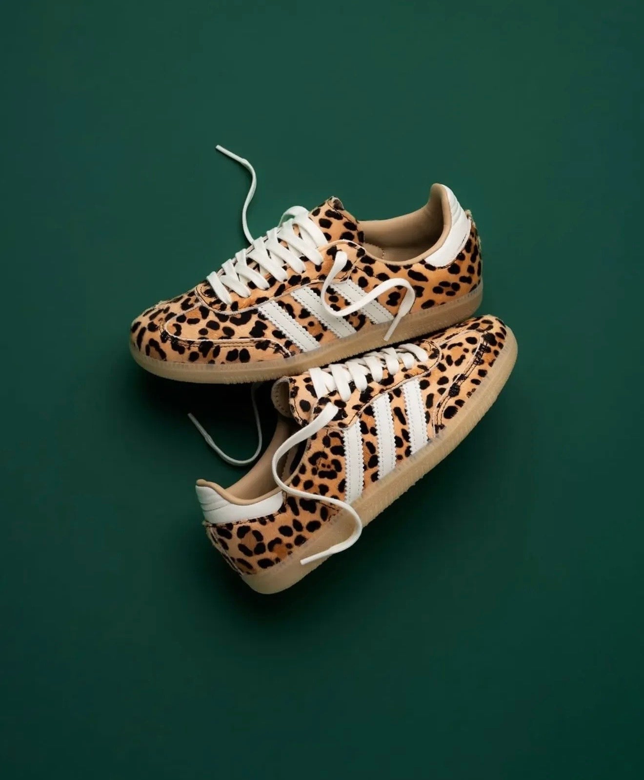 Leopard sambas for women
