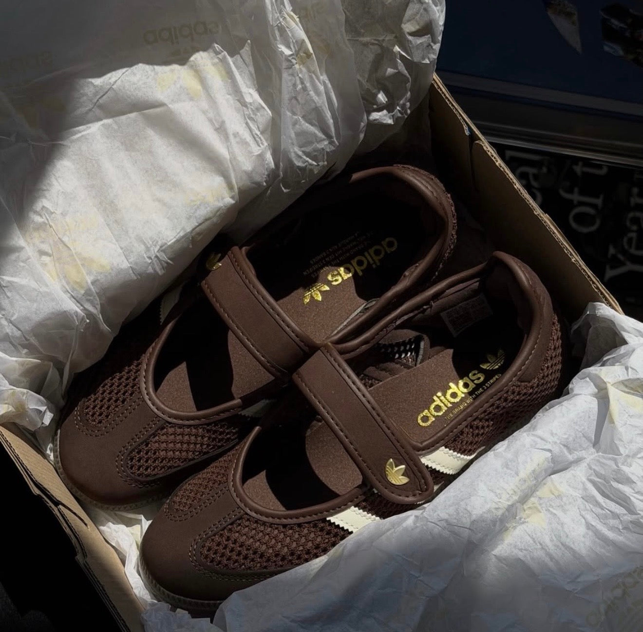 Brown mesh Mary Jane sambas