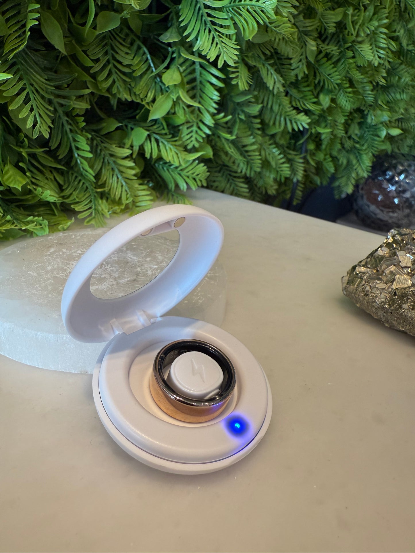 Wellness & Smart ring