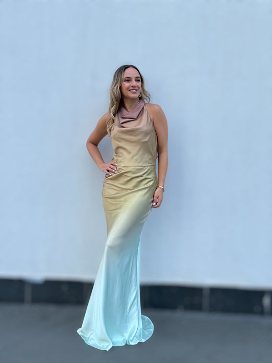 Alana's gold dress