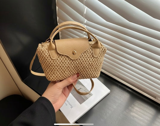 Nude  Canvas mini tote Bag