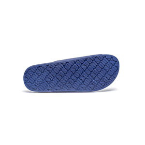 navy  Freedom moses slides